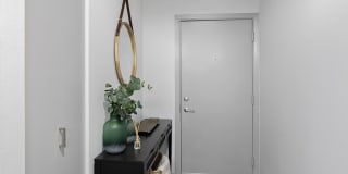 Benson Downs Gallery 12