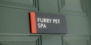 4426 Gold Flower Loop - 3D2 Gallery 14