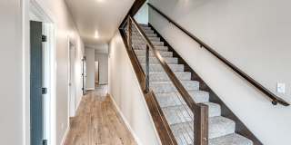 109 Carlow Way Gallery 8