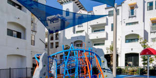 Paseos at Ontario Gallery 71