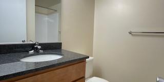 Northgate Gallery 274