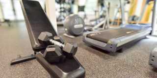 Lakemont Orchard Gallery 16