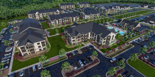 The Canter The Canter Gallery 12