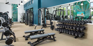 Homecoming at The Resort Apartments Gallery 53