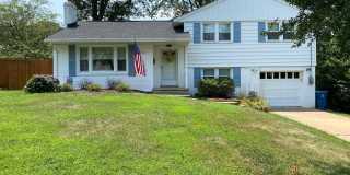 Show stopper Gallery 1