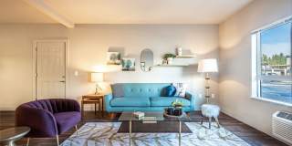 The McKenzie The McKenzie Gallery 1