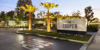 The Cooper Gallery 55