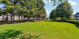 Tree Park Apartments Gallery 16