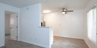 Aztec Pacific Gallery 10