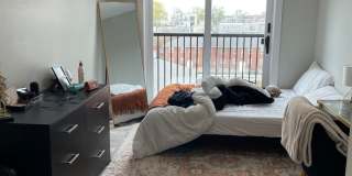 Beautiful Southie apartment Gallery 4
