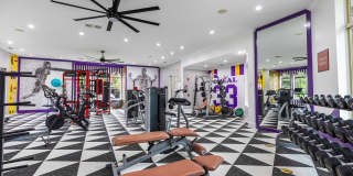 Indigo Park Gallery 17