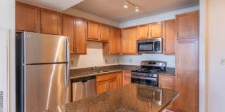 The Veridian Gallery 63