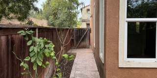 House for rent Gallery 31