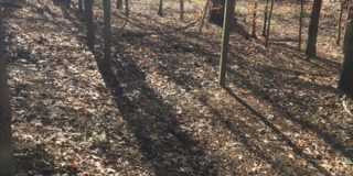 6026 Coltswood Court Gallery 36