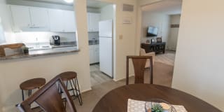 Lake of the Woods Gallery 19
