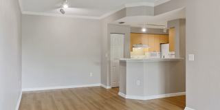 Windsor Pembroke Pines Gallery 26