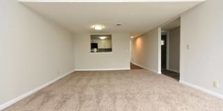 The Palmer Gallery 3