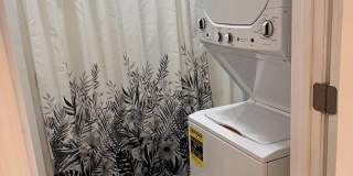 2014 Willis St Gallery 10