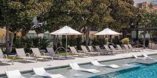 Legacy North Gallery 48