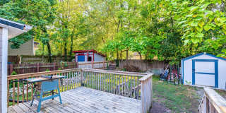 Darling 3 Bed 1 Bath Home Gallery 13