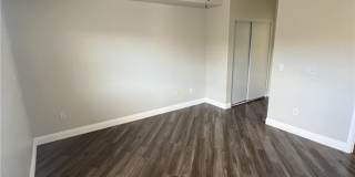 10552 Pine Pointe Avenue Gallery 28