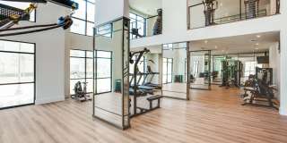 Aura Northline Gallery 26