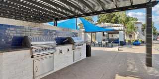 Vetra Chandler Gallery 17