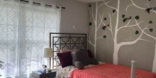 Stunning 3–4 Bedroom Townhome in Private Community | Garage + EV Charger | Deck with Tree Views Gallery 25