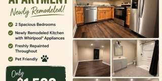 4566 Sportsman Lake Road Gallery 1