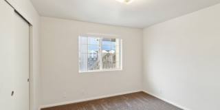 Native Sun Gallery 11