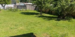 Great Thurston Home! Gallery 4
