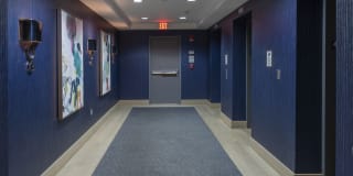 500 Harbour Island Gallery 72