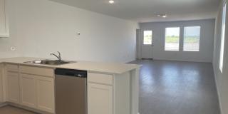 337 Rockies Road Gallery 1