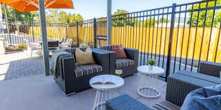 Aurora at Green Valley Gallery 20