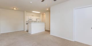 Bradford Park Gallery 82