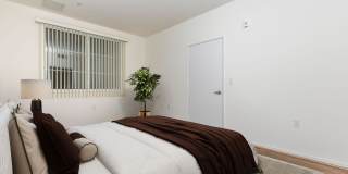 Vineyards Gallery 185