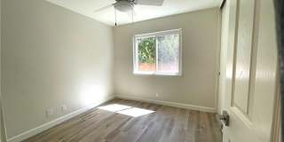 27972 Gallina Gallery 8