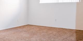 Graves Gallery 9