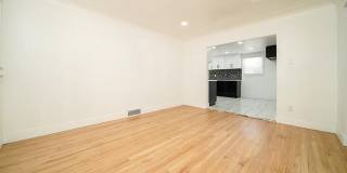 243 Newport Street Gallery 16