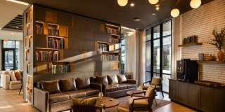 Olive Gallery 14