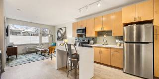 LoHi Gold Apartments Gallery 2