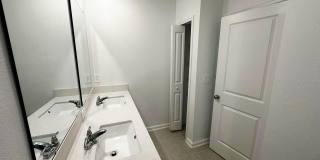 339 PUMA LOOP Gallery 16