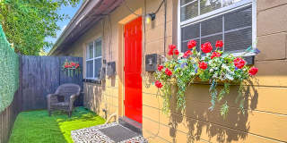 2 BEDROOM 1 BATH APARTMENT HOME LOCATED IN ST. PETERSBURG, FL Gallery 29