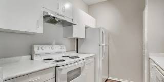 The Erica Gallery 34