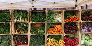 VerraWest Gallery 26