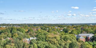 Halstead Tower by Windsor Gallery 7