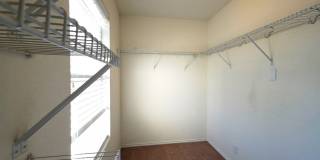 3907 Paradiso Loop Gallery 16
