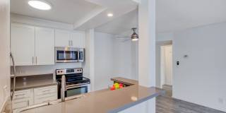 339 S. Ardmore Gallery 10