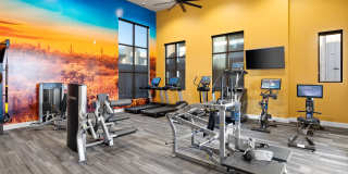 Acero Harvest Station Gallery 3