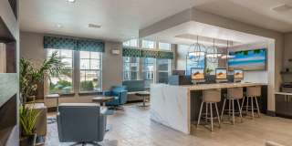 The Addison on Millenia Gallery 9